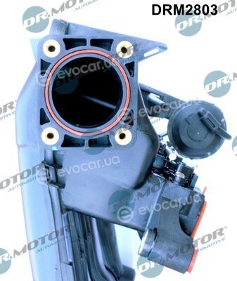 Dr. Motor DRM2803