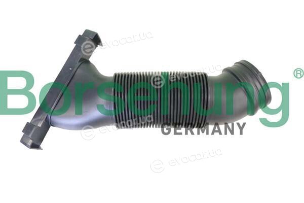 Borsehung B12327