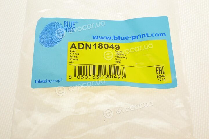 Blue Print ADN18049