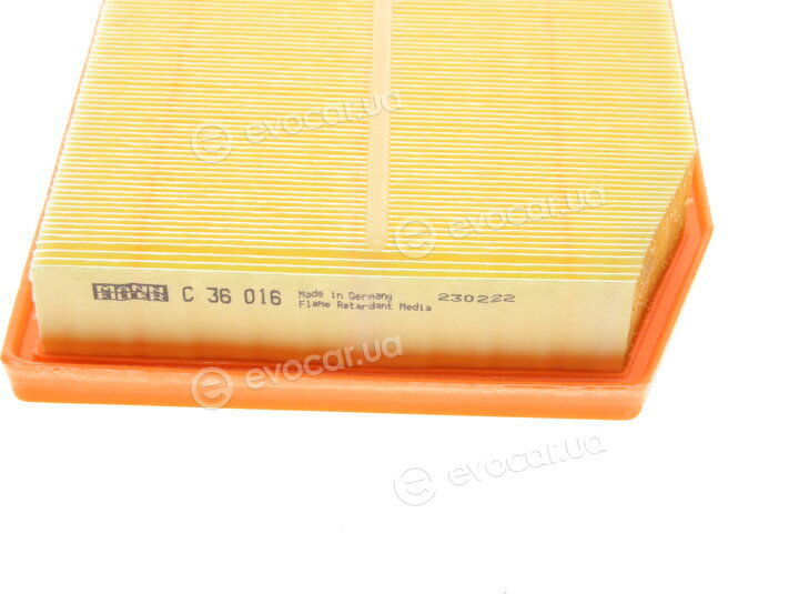 Mann C 36 016