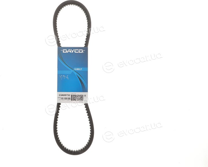 Dayco 13A0875C