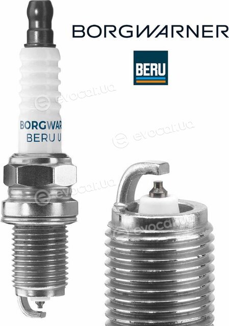 BorgWarner Z188