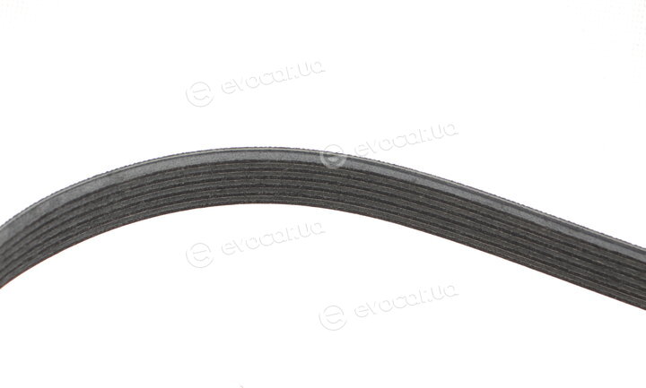 Gates K026PK1005EST