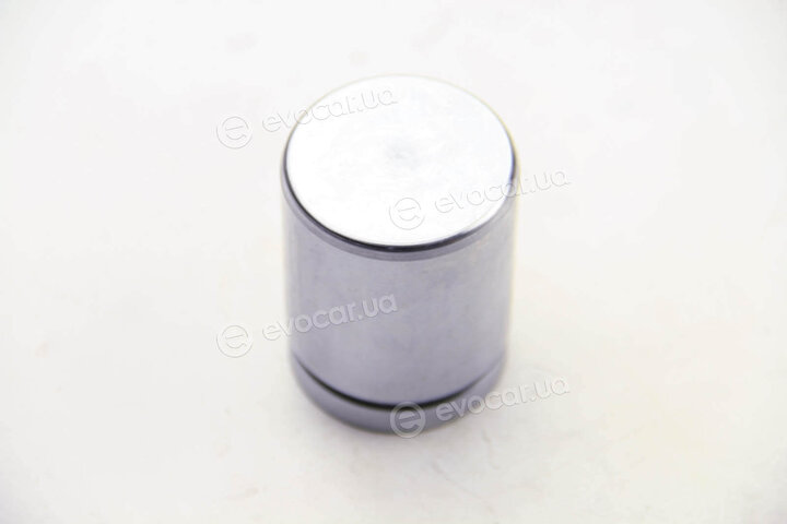 Autofren D025317