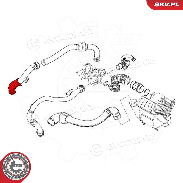 SKV 54SKV093