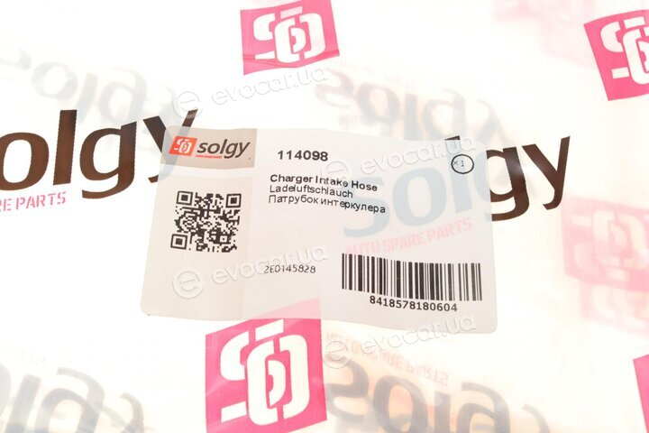 Solgy 114098