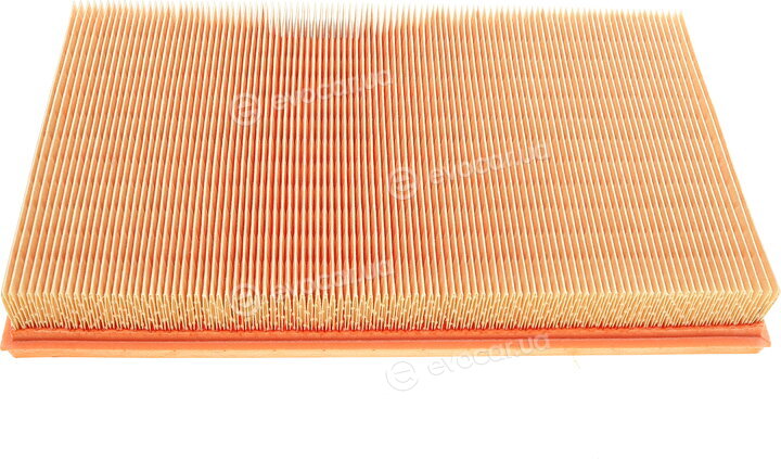 Mann C 34 116/1