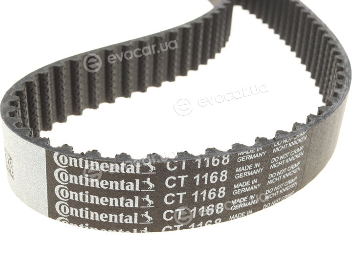 Continental CT1168WP1