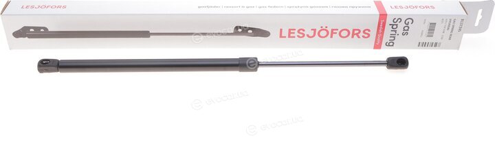 Lesjofors 8137245