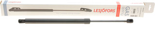 Lesjofors 8104243