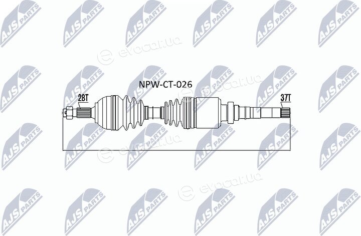 NTY NPW-CT-026