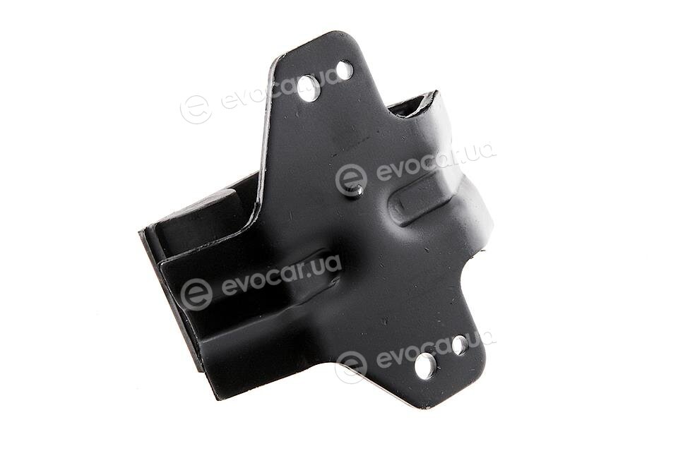 NTY ZPS-NS-050