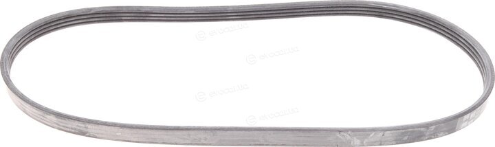 Continental 4PK874 ELAST