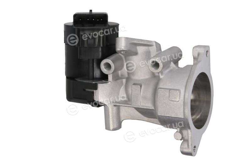 Delphi EG10396