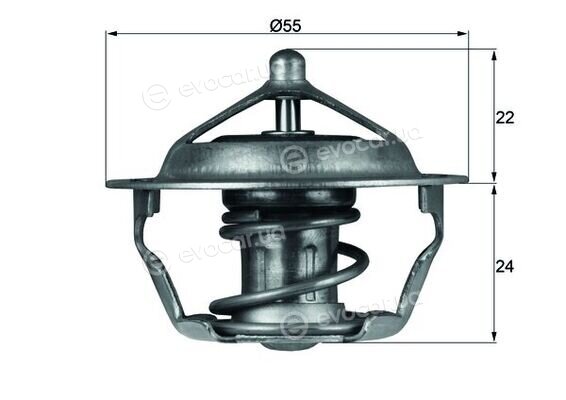 Mahle TX 101 83D