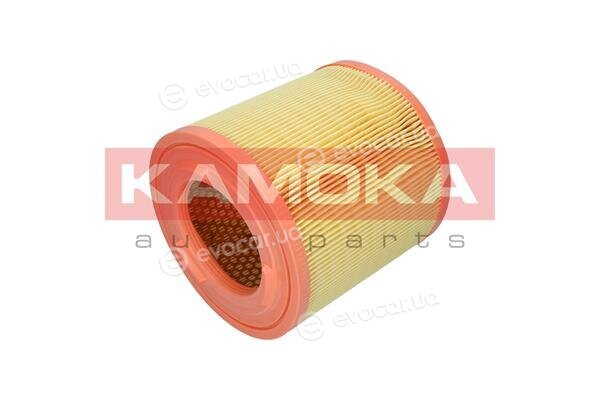 Kamoka F253301