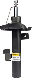Raiso RS313283
