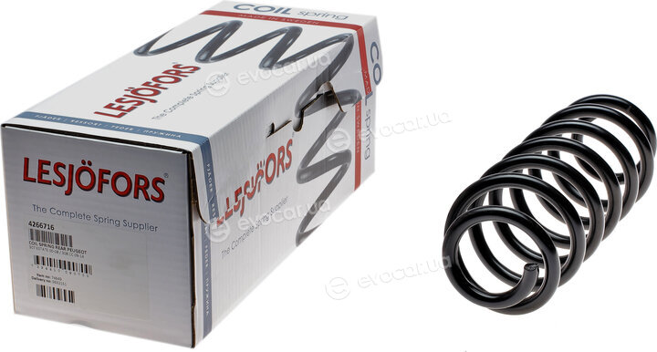 Lesjofors 4266716