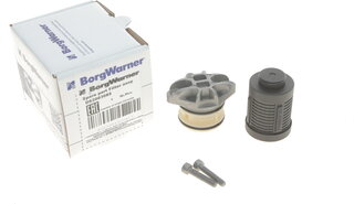 BorgWarner DS2003085