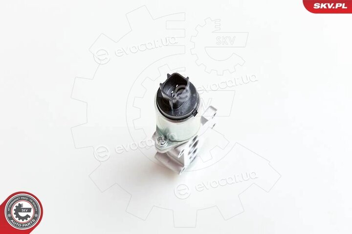 SKV 08SKV218