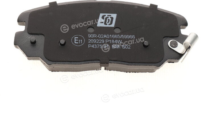 Solgy 209229
