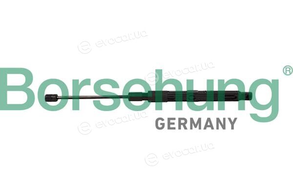 Borsehung B12484