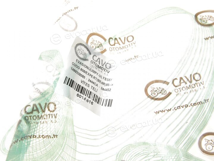 Cavo 6014 616