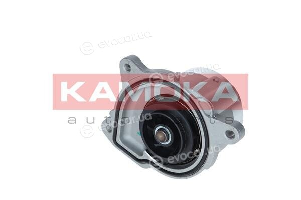 Kamoka T0019