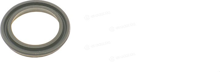 Frenkit 236943