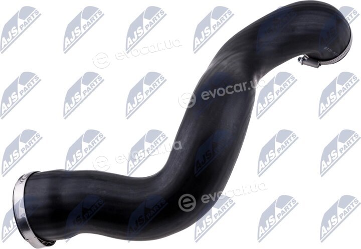NTY GPP-VV-018