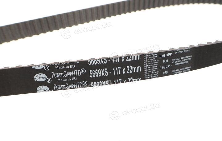 Gates K015669XS