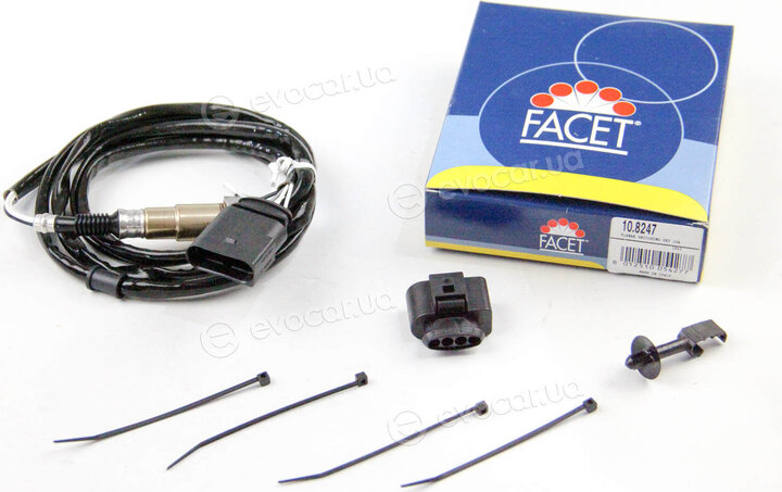 Facet 10.8247