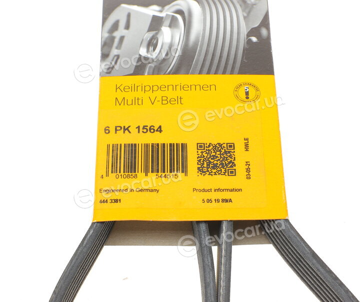 Continental 6PK1564