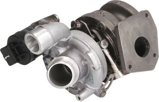 BorgWarner 54399880112