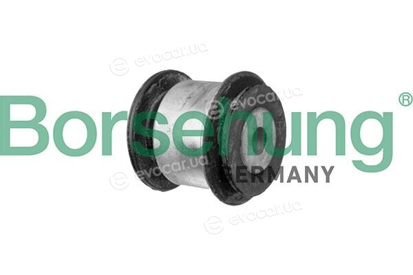 Borsehung B13185