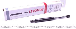 Lesjofors 8108417