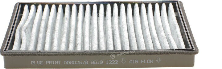 Blue Print ADG02579