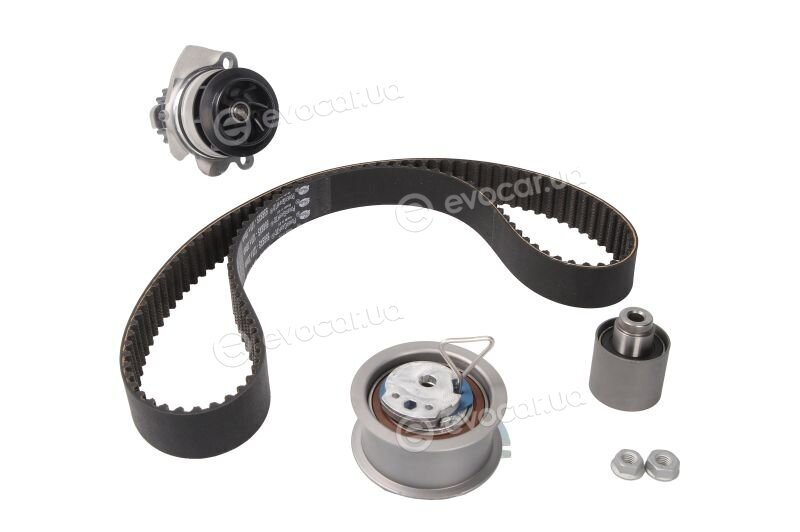 Gates KP55569XS-4