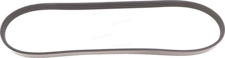 Dayco 4PK841