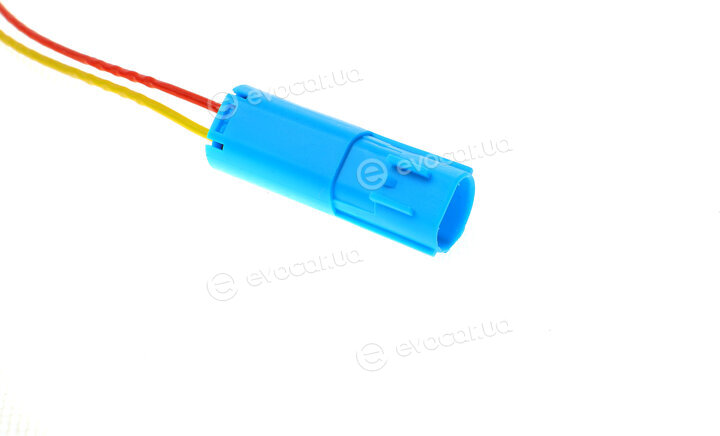 Solgy 412003