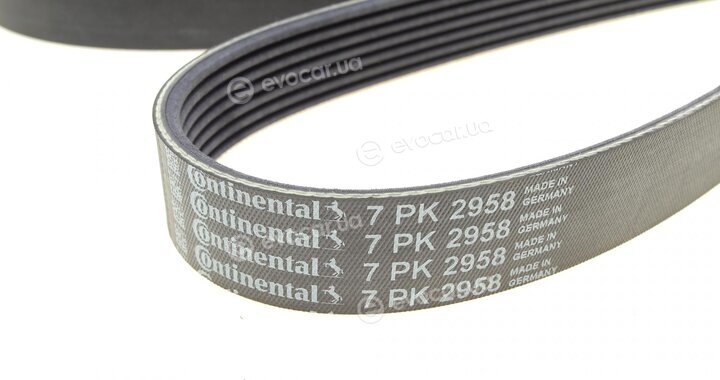 Continental 7PK2958