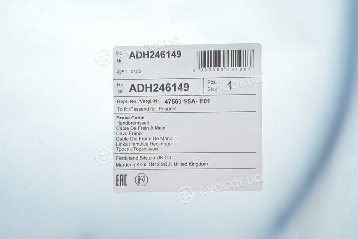Blue Print ADH246149