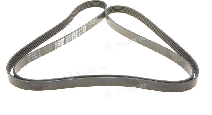 Dayco 6PK2255