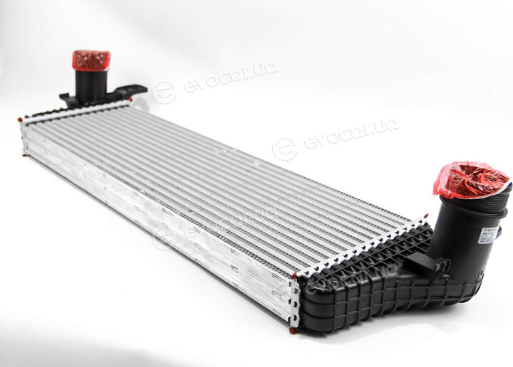Mahle CI 242 000P