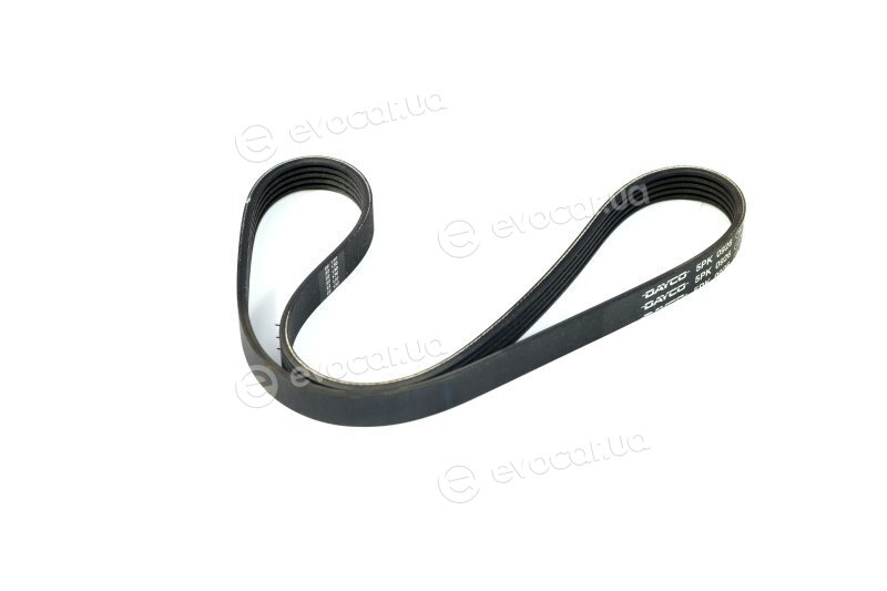 Dayco 5PK926EE