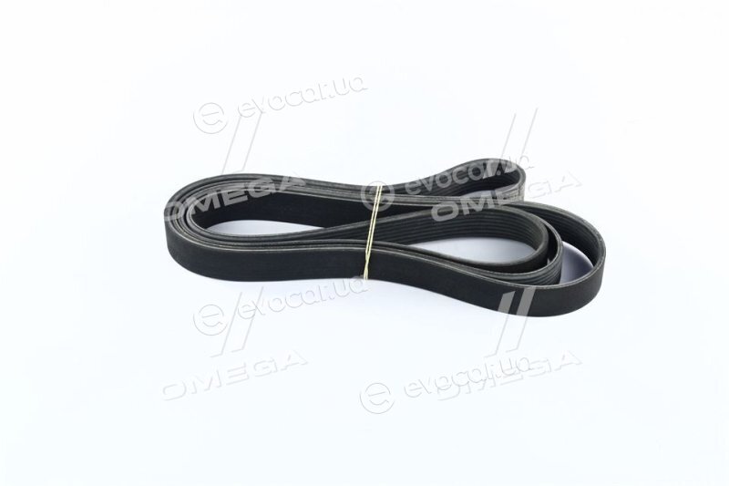 Continental 8PK2585