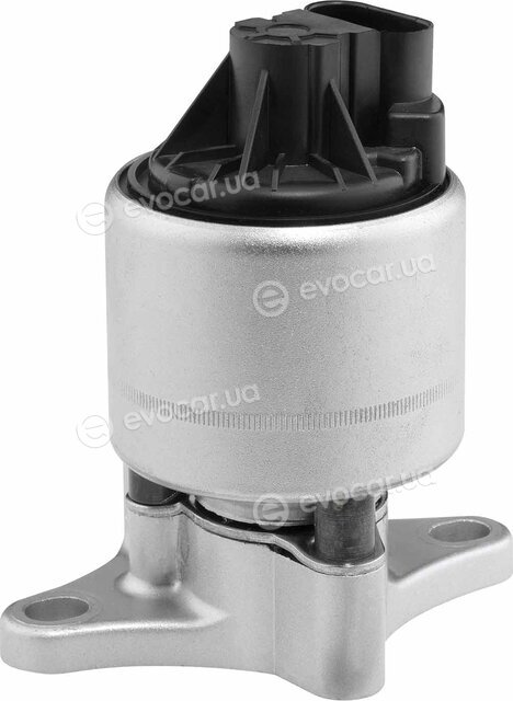 Wahler / BorgWarner 712051D