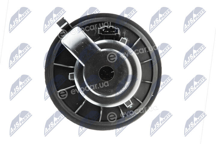 NTY EWN-VW-010