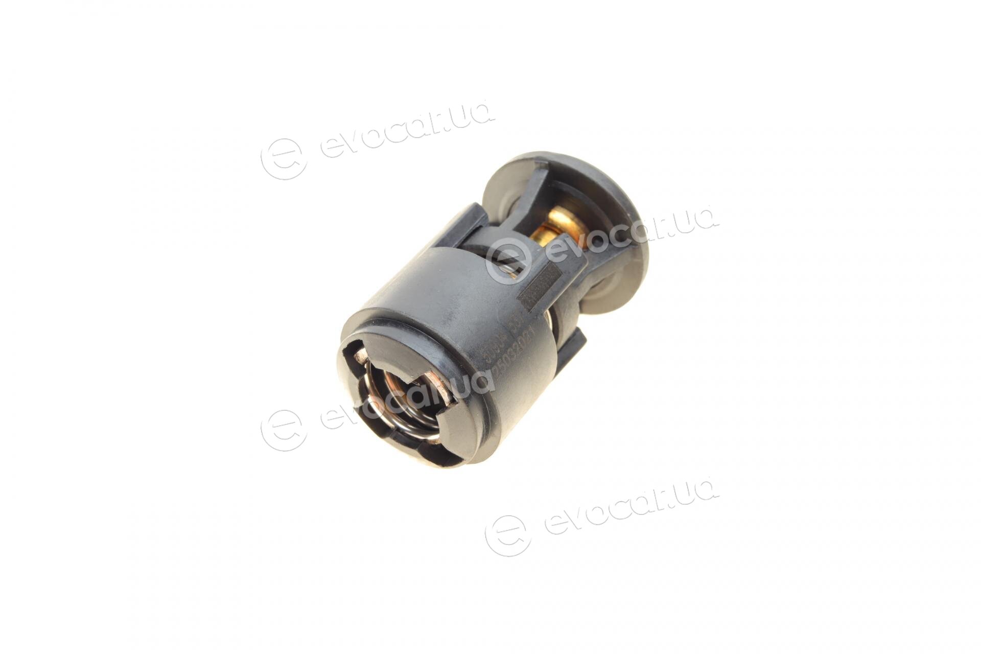 AIC 50904