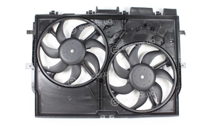 Kale 348490